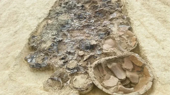Рідкісна колісниця та набір бронзи: в Італії археологи знайшли гробницю зі 150 артефактами