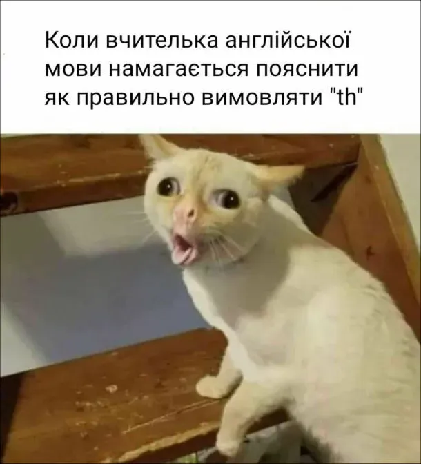 Найсмішніші меми про кінець навчального року