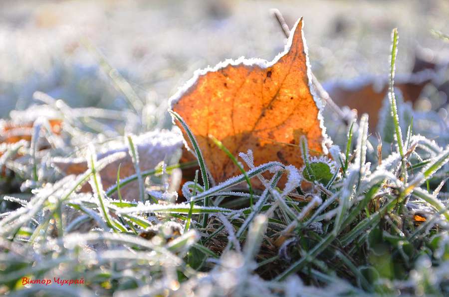 Луцький фотохудожник зазнімкував морозний ранок (фото)