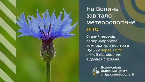 Тепло прийшло раніше: на Волині почалося метеорологічне літо