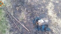 У Луцькому районі у вогні загинула жінка: підпалила післяжнивні залишки (відео)
