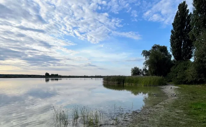 Показали красу невеликого озера на Волині (фото)