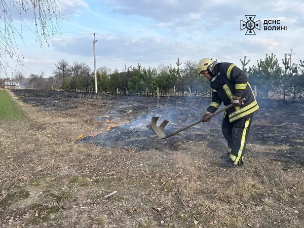 🔥На Волині суха трава палала в чотирьох районах (фото)