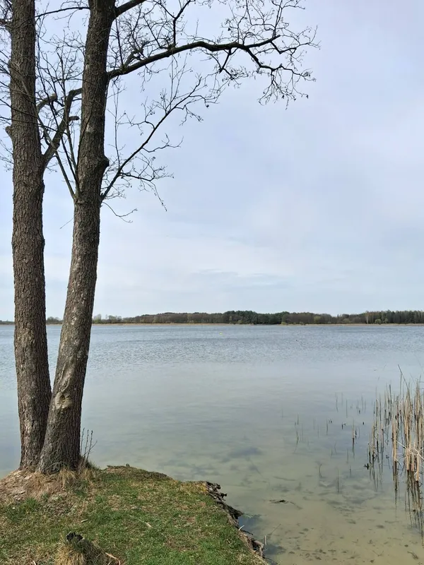 Весна на Шацьких озерах: місцеві показали неймовірні краєвиди (фото)