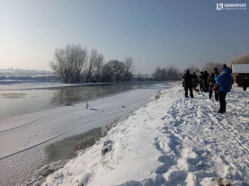 На Стиру в Луцьку освятили воду, люди пірнають в ополонку (фото, відео)