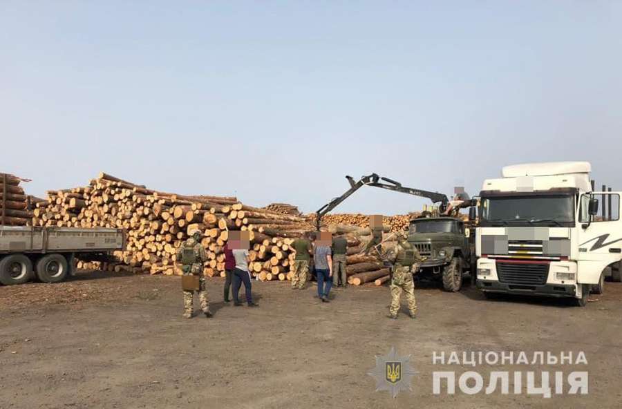 Незаконні рубки лісу та підробка документів: службовій особі волинського підприємства оголосили підозру