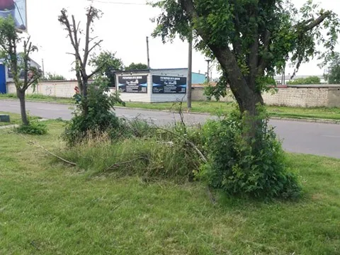 Лежать від зими: луцькі комунальники не прибирають зрізані гілки (фото)