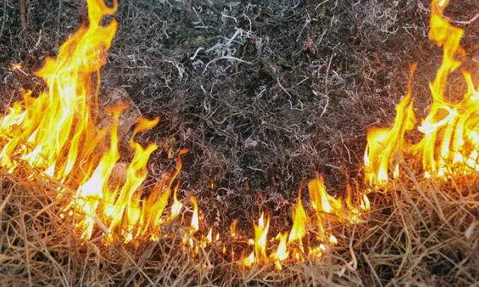 На Волині – пожежна небезпека 5-го класу