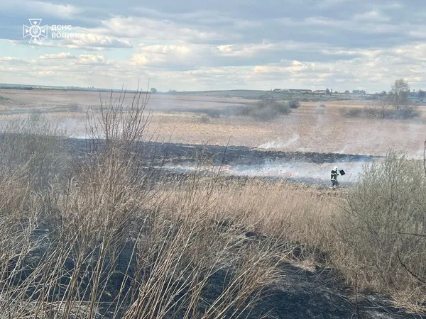 Понад 5 гектарів у вогні: на Волині ліквідували серію пожеж (фото)
