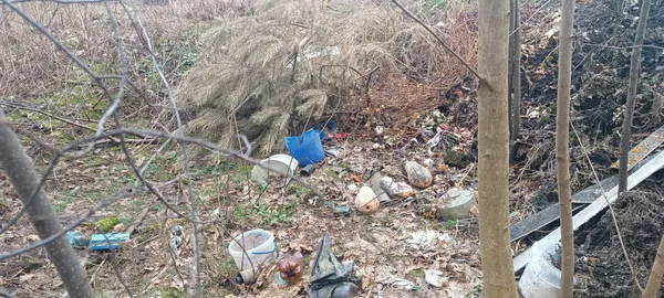 Жителі б’ють на сполох: у Маневичах ліс закидають сміттям (фото)