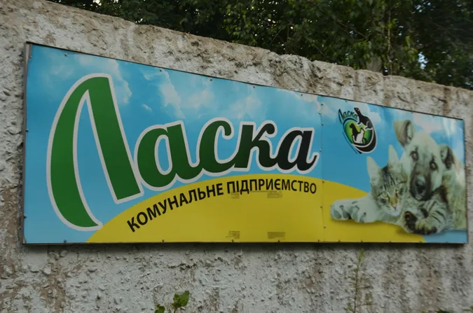 Суд зобов'язав «Ласку» надати інформацію про діяльність 