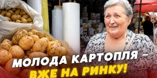 Молода картопля на луцьких ринках: які ціни і звідки везуть сезонний овоч (відео)