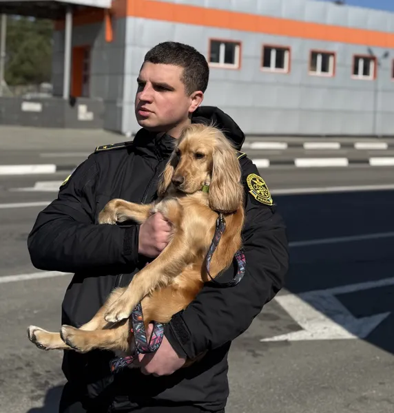 На Волині обрали пса, який шукає наркотики краще всіх