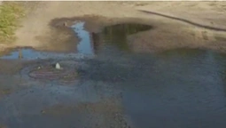 У центрі Луцька серед дороги б'є фонтан з води (відео)