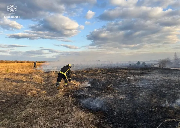 Найбільше – на Ковельщині: на Волині за добу вигоріло понад 7 гектарів (фото)