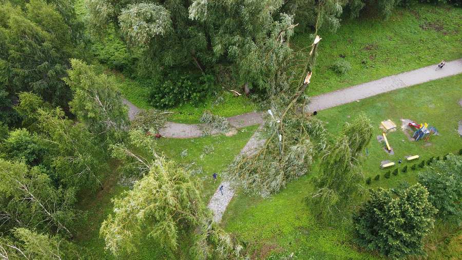 Зірвана покрівля та повалені дерева: у Володимирі бушує негода (фото, відео)