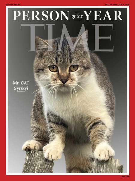 Мережу замилував новий мемний кіт Сирський: хто він такий і до чого тут Волинь