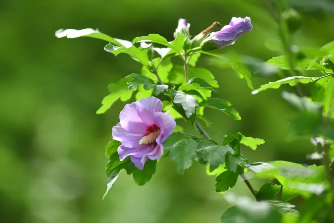 🌸 Як квітує Луцький зоопарк (фото)