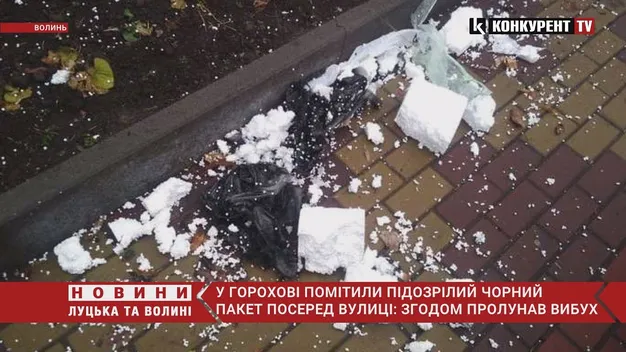 У центрі Горохова вибухотехніки знешкодили підозрілий предмет (фото, відео)