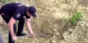 Чотири дні у могилі: похованого живцем чоловіка дивом врятували (відео)