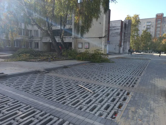 Викорчовані дерева та плитка: що коїться біля луцького РАЦСу (фото)