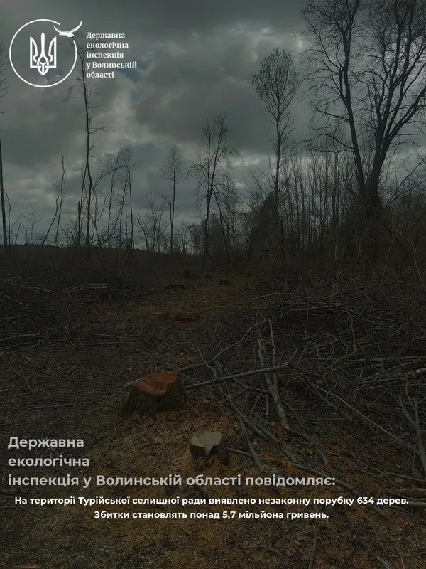 На Волині виявили незаконну вирубку дерев: збитки сягають мільйонів
