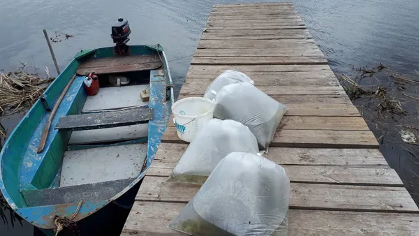 У Хрінницьке водосховище заселили 20 тисяч щук (відео)