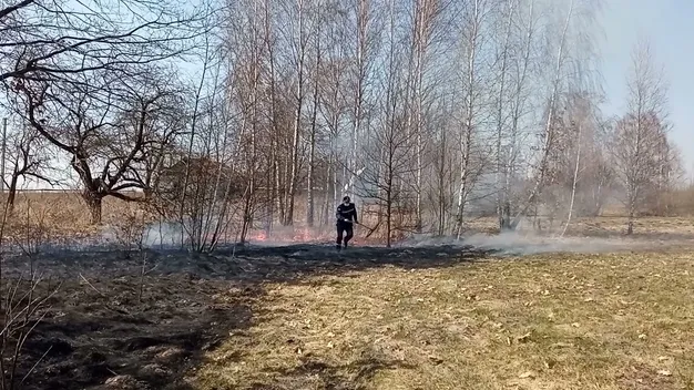 Знепритомніла від диму: на Волині рятували жінку, яка спалювала траву (фото, відео)