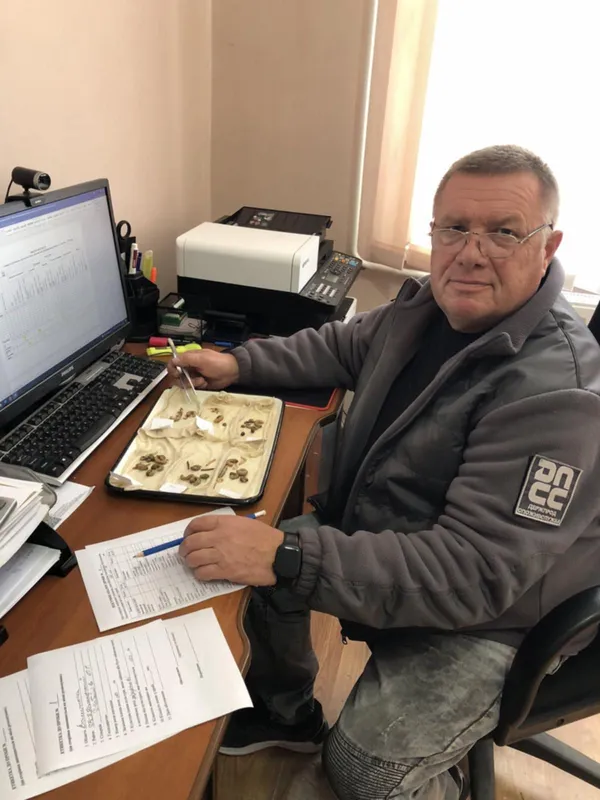 Осінній «чекап» полів: у ґрунтах Волині знайшли цілі колонії шкідників (фото)