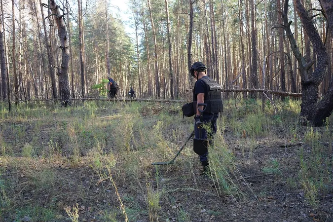 Як сапери з Волині розміновують ліс на Донеччині (фото)