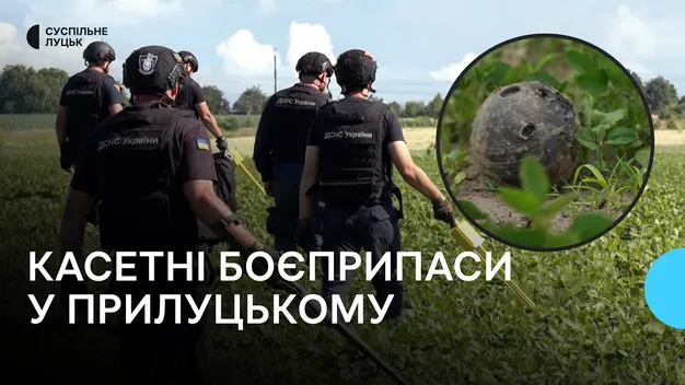 Під Луцьком досі знешкоджують касетні боєприпаси: що відомо (відео)