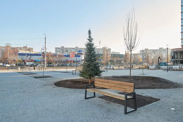 Ліхтарі, ялинки, лавки: у Луцьку завершують облаштування площі перед РАЦСом (фото, відео)