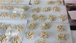 В "Ягодині" в дитячому мопеді знайшли наркотиків на 1,3 мільйона гривень (фото)