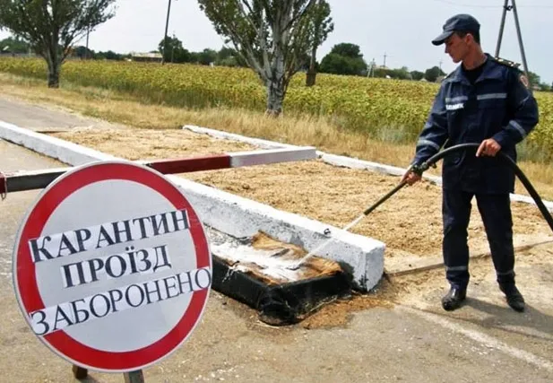 Через африканську чуму на Волині тривають перевірки