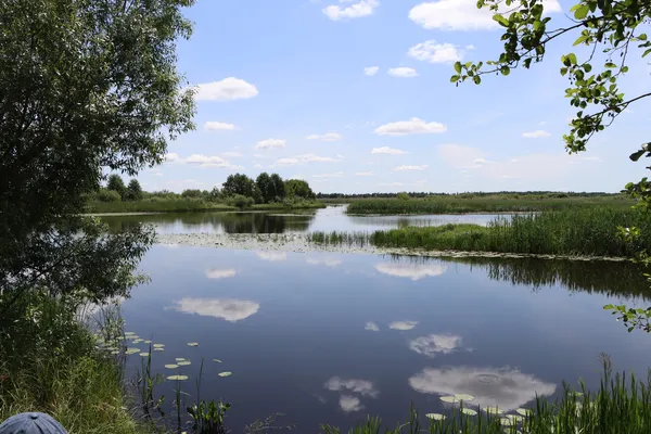 Тут зупинився час: на Волині серед лісів і боліт збереглося унікальне село, відрізане від цивілізації (фото)