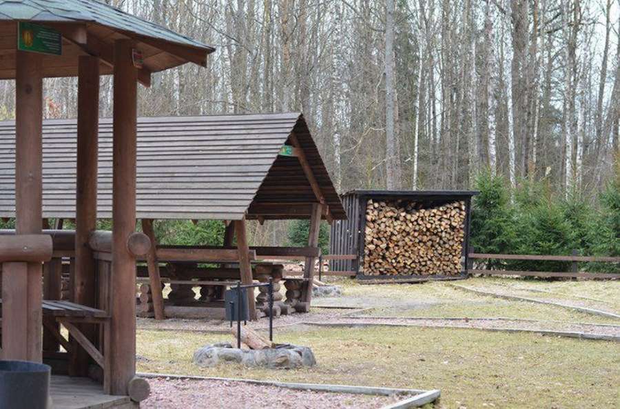 Лісовий відпочинок: де на Волині посмажити шашлики серед дерев