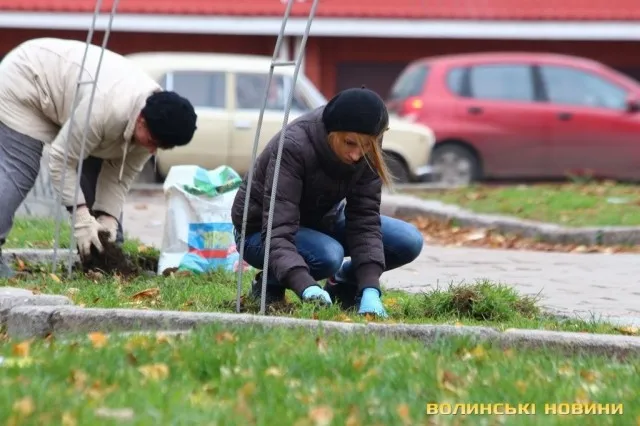 На проспекті Волі у Луцьку садили алею троянд (фото)