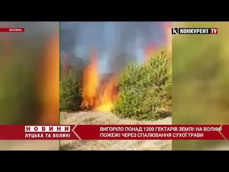 На Волині за кілька днів вигоріло понад 1200 гектарів землі (фото, відео)