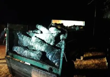 Біля кордону з Білоруссю  виявили вантажівку з телячими тушками (фото)