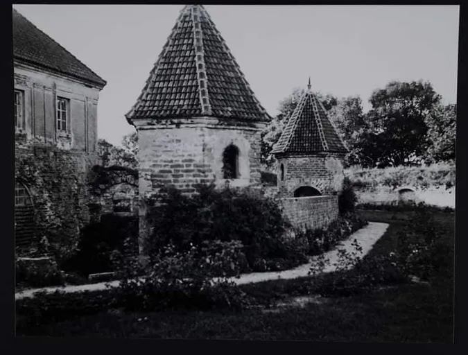Яким був Олицький замок майже століття тому: маловідомі фото