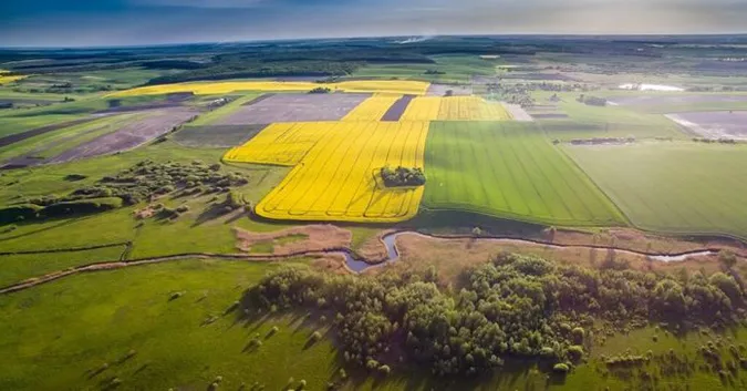 На Волині в підприємця забрали 400 гектарів землі через борг