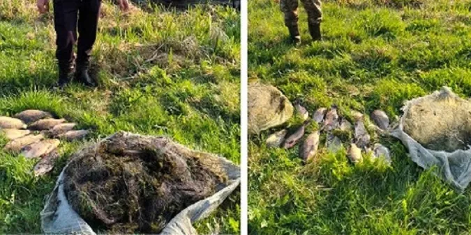 На Волині браконьєри натягали сітками карасів на понад 36 тисяч гривень