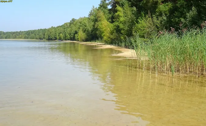 Як проходить оксамитовий сезон на озері Пісочне (фото)