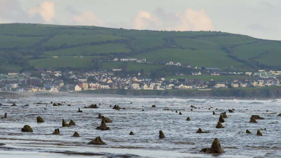 В Уельсі ураган підняв з моря доісторичний ліс (фото)