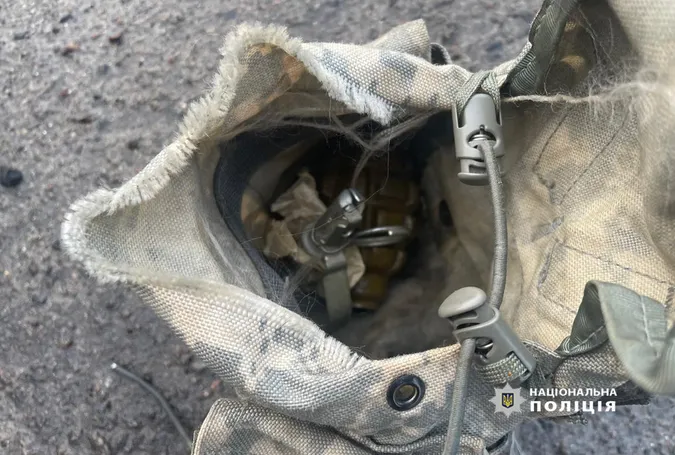 В домашнього тирана і в п'яного скутериста: у волинян знайшли гранати Ф-1 із запалами (фото)