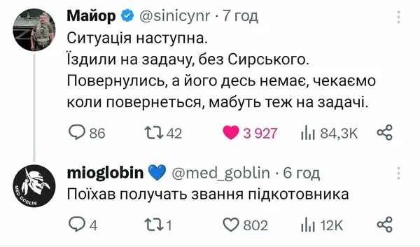 Мережу замилував новий мемний кіт Сирський: хто він такий і до чого тут Волинь