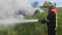 У Луцькому районі горіла суха трава і ледь не загорілося поле зернових (фото)