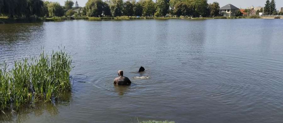 У Луцьку в Теремнівських ставках стирчала арматура (фото)