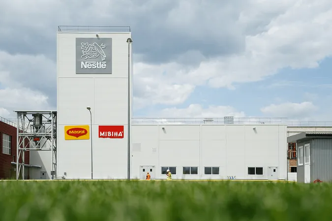 Волинь стане харчовим хабом Nestlé в Україні: деталі