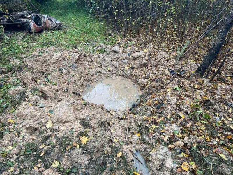 Поїхали по гриби і зникли: на Чернігівщині знайшли мертвими чотирьох чоловіків